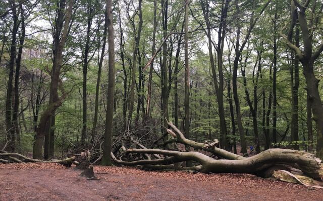 Hotel De Werelt Garderen