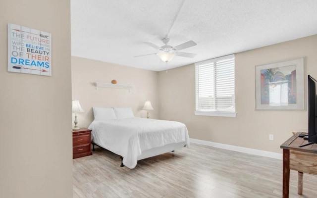 Dolphin Point #406c