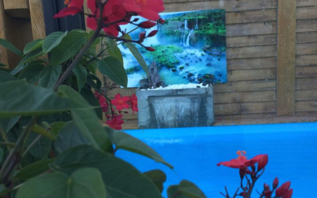 Ti Fleur aimée à Cilaos