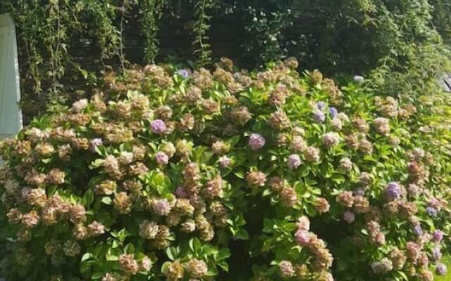 Chambres d'hotes la Merais