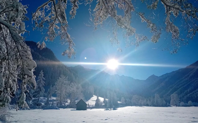 Secluded Apartment in Ferlach near Bodental Ski Lift