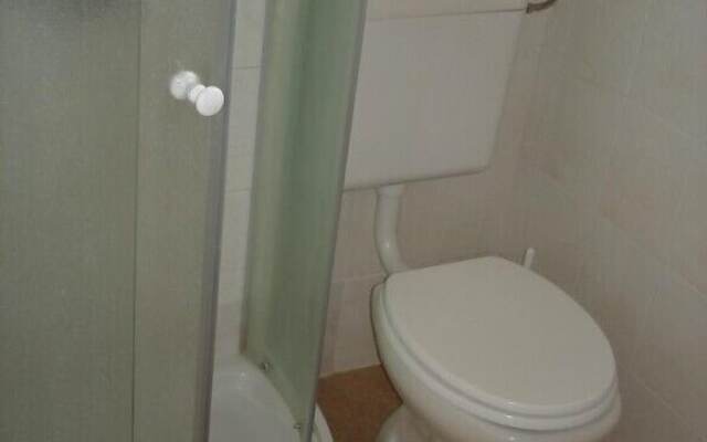 Apartmaji Vidic- Guest House