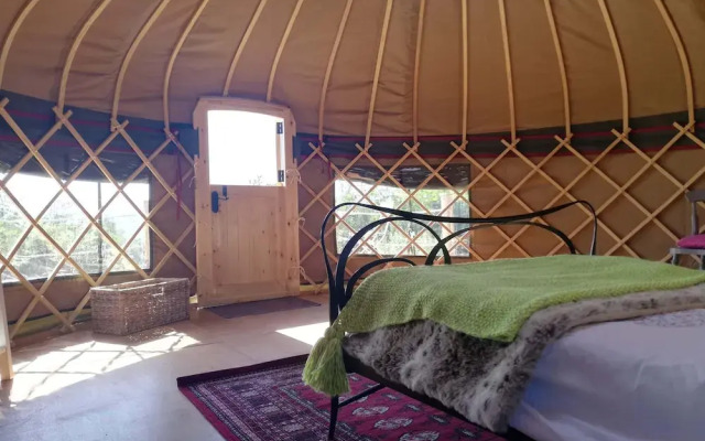 Looe Yurts