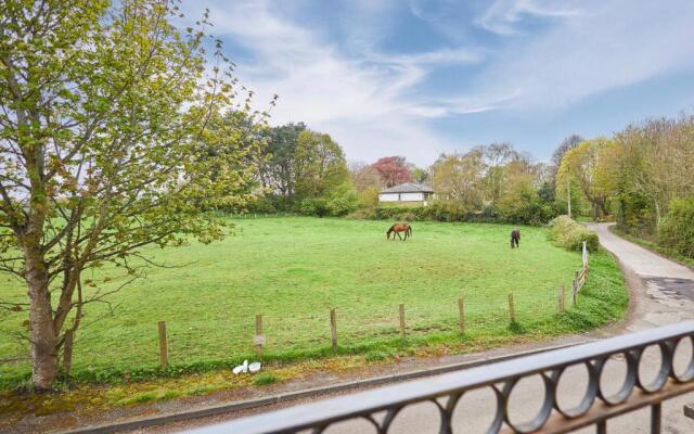 Host Stay The Paddock