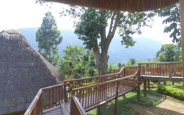 Trackers Safari Lodge Bwindi