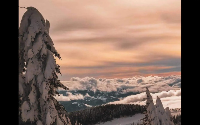 Apartments Zivkovic, Milmari D