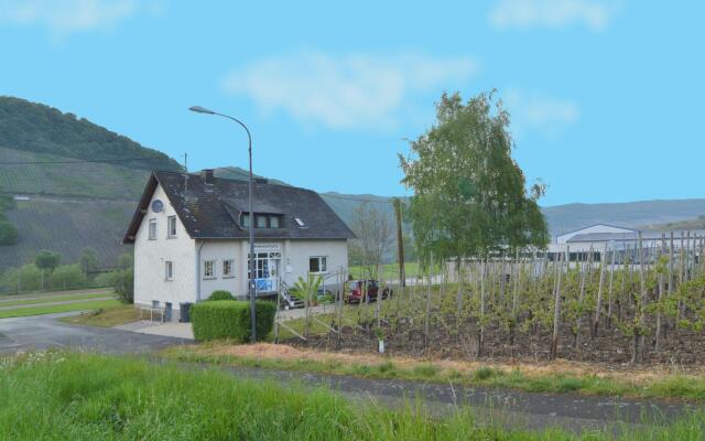 Cozy Apartment in Neumagen-Dhron near Lake Mosel with Garden