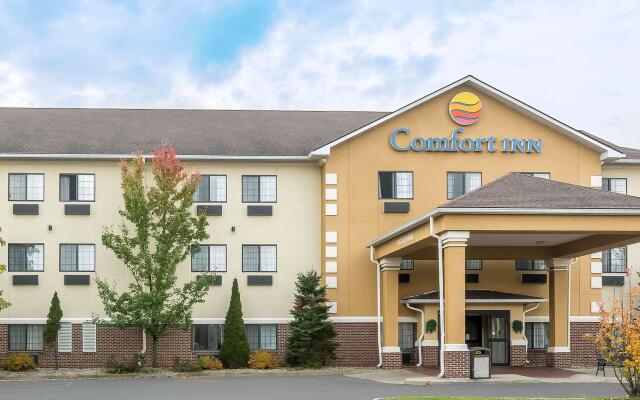 Comfort Inn Downtown - University Area