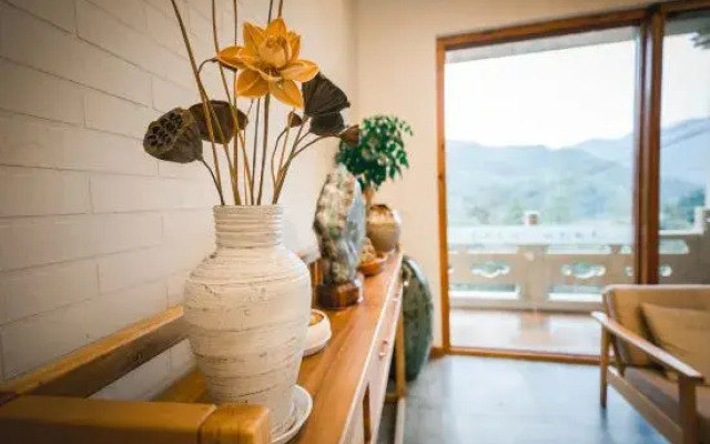 Qingxingul(Anji Yunshang Grassland Store)