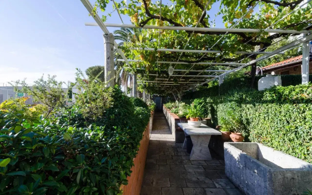 Guest House Jelica