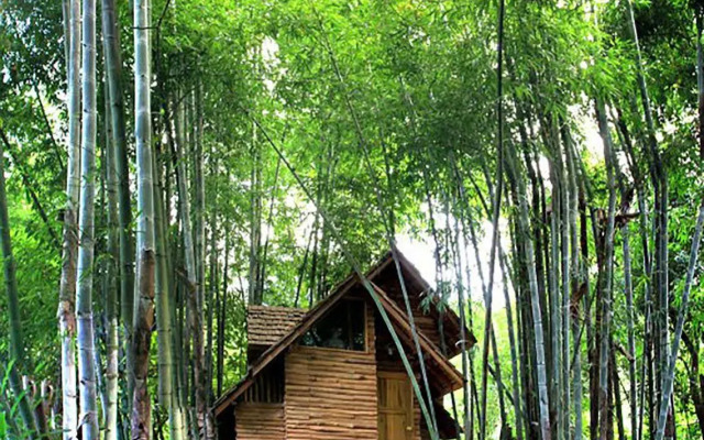 Rabeang Pasak Treehouse Resort