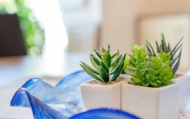 Rupertus Maishofen in Maishofen