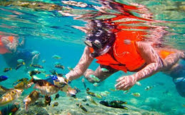 Gili Breeze Tropical Bungalows