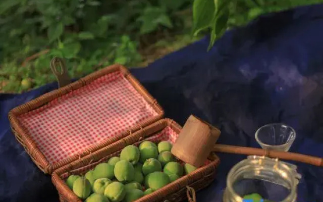 Guangzhou Liuxi River Hulu 1993 Resort