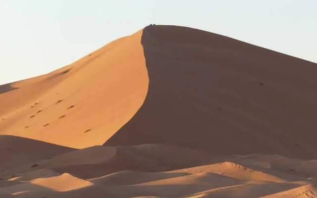 Moha Desert Camp