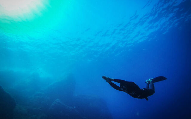 Tenuta Delle Ripalte