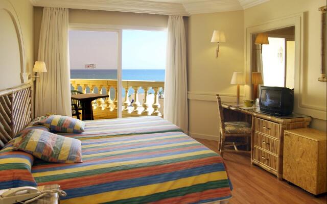 Moon Dreams Portomagno