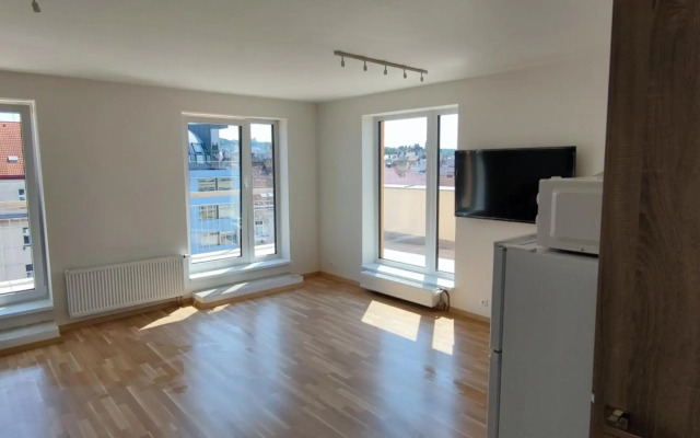 Penthouse with panoramic city view in Elite Rezidence