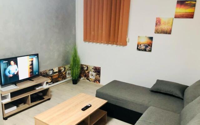 Central Park - Big Apartment - 3 ROOMS - Free Parking T5