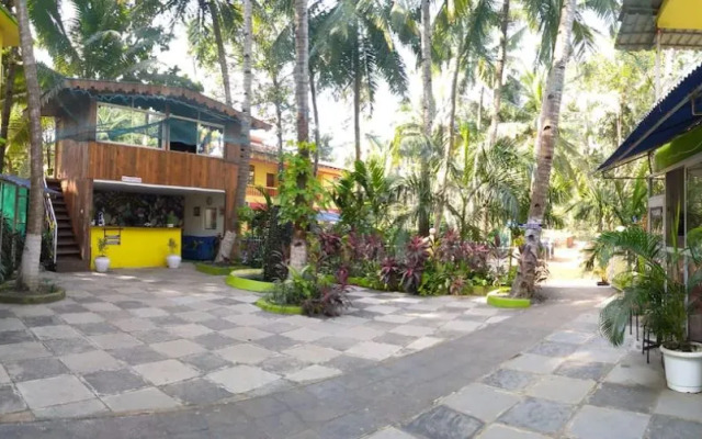 Dompedros Haven