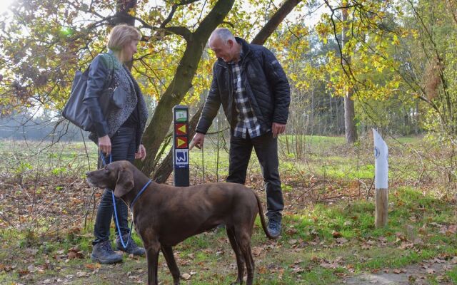 Relaxing Nature Escape