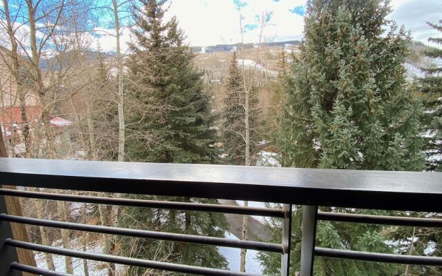 #310 Vail International