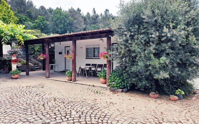 Pet Friendly Barbecue Pool Mystay