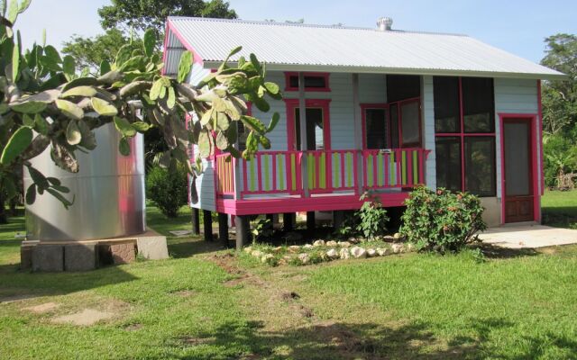 Lower Dover Jungle Lodge & Maya Ruins - Hostel