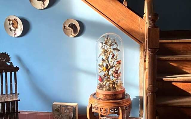 Le Brulon (Adults Only)