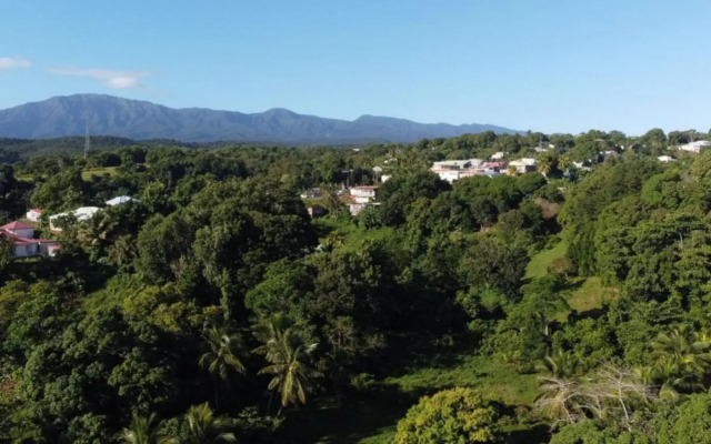 Appartement Camillia, 41m2 et son jardin privatif.