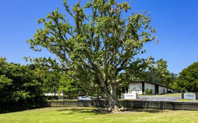 Albany Oak Motel