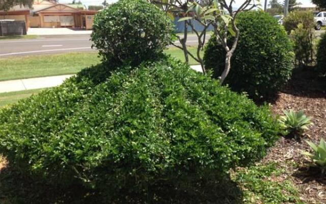 Salerno on the Beach