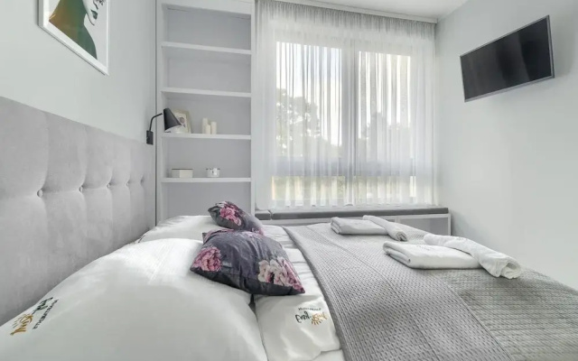 Comfortable Apartment by the sea