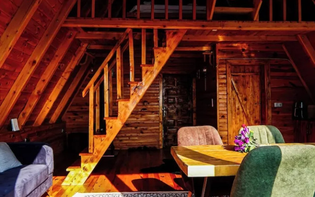 Heidi Bungalov