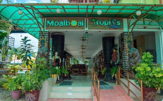 Moalboal Tropics