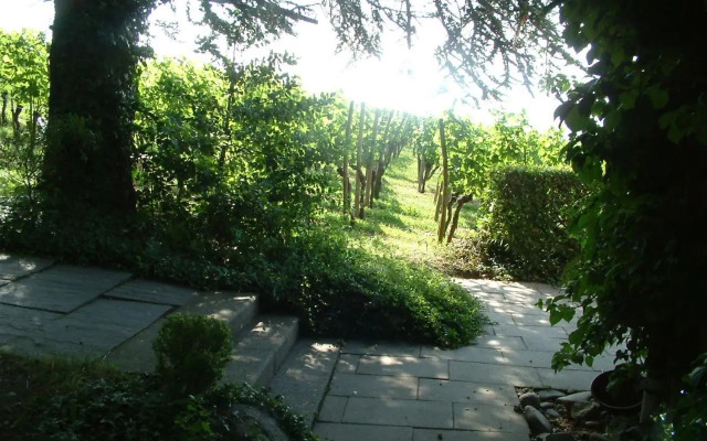 Pension Haus am Trielberg