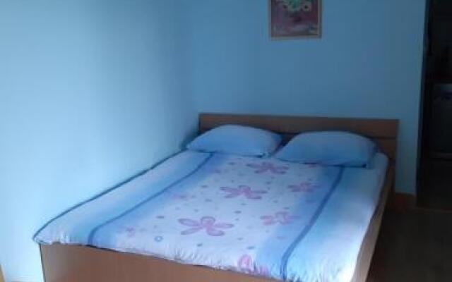 Apartments Lina