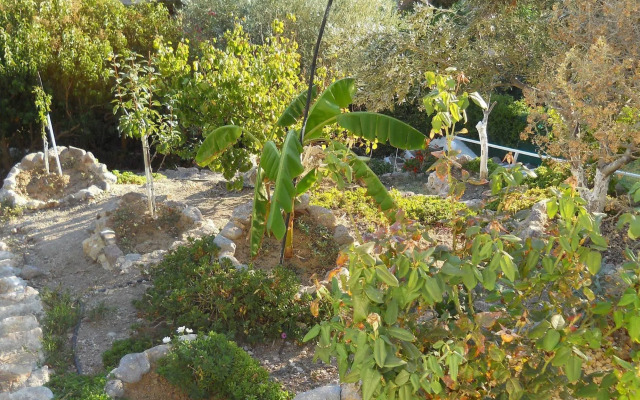 Yvonni Studios