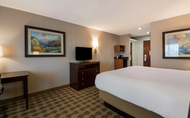 Best Western University Inn & Suites