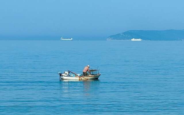 A1 Beachfront apt With big Terrace and sea View