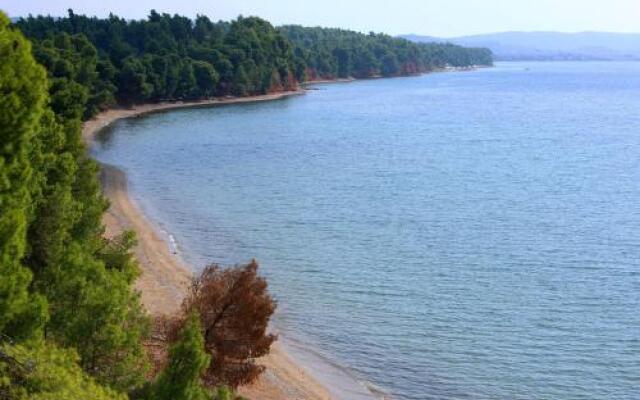 Squirrel Beach Front Villa, Metamorfosi