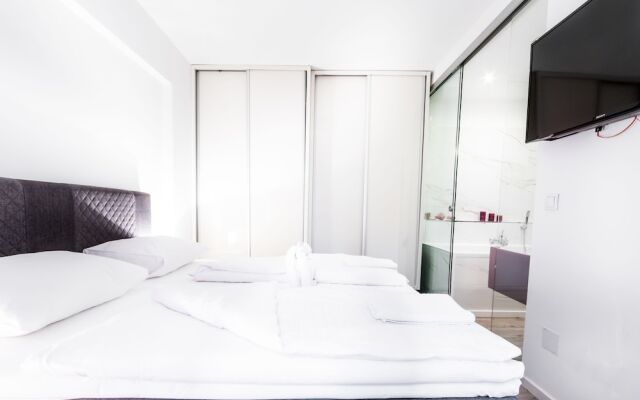 Grand Apartment Vienna