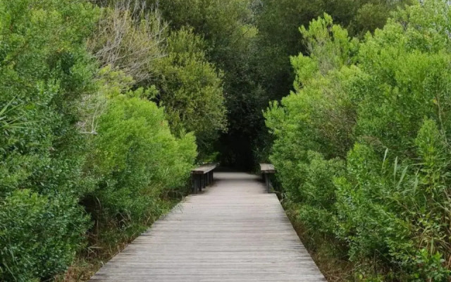 Nice 86m with Terrace Near the Beach!