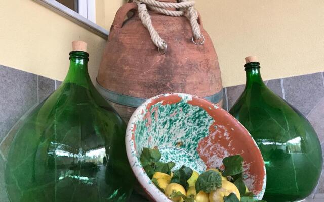 La Cantina dello Sgatto