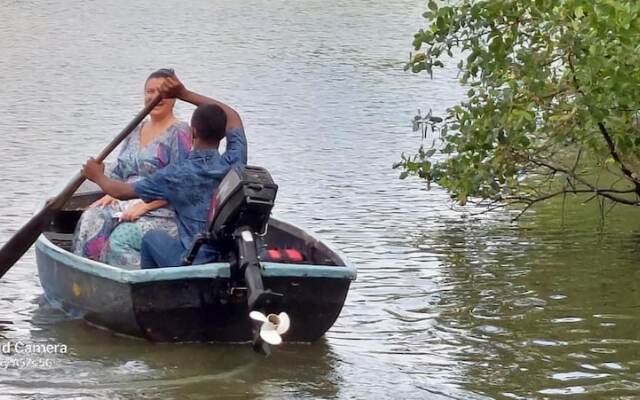Morning Guest can see Momkeyies and Birds