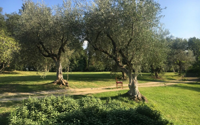 Madonnella Agricola
