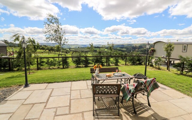 Meadow View