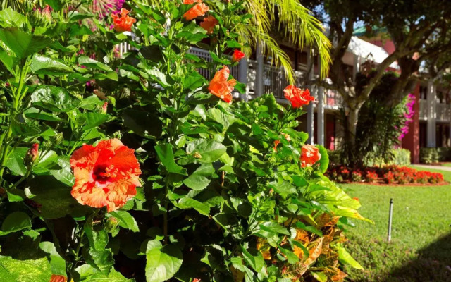 Ramada Inn of Naples