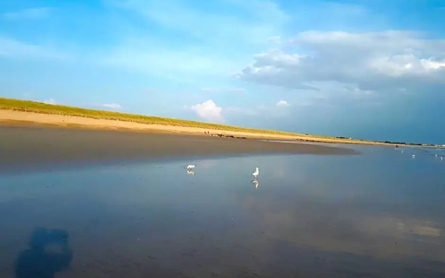 Chambre dans la pin¿