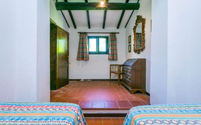 Bardeggiano - Caterina 4 (COL247)